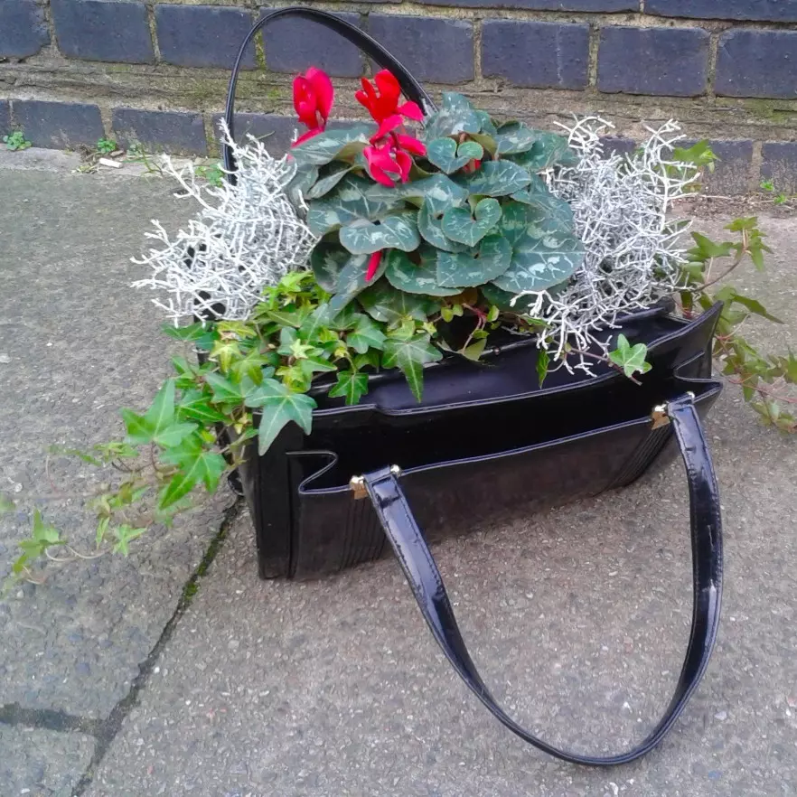 Handbag planter